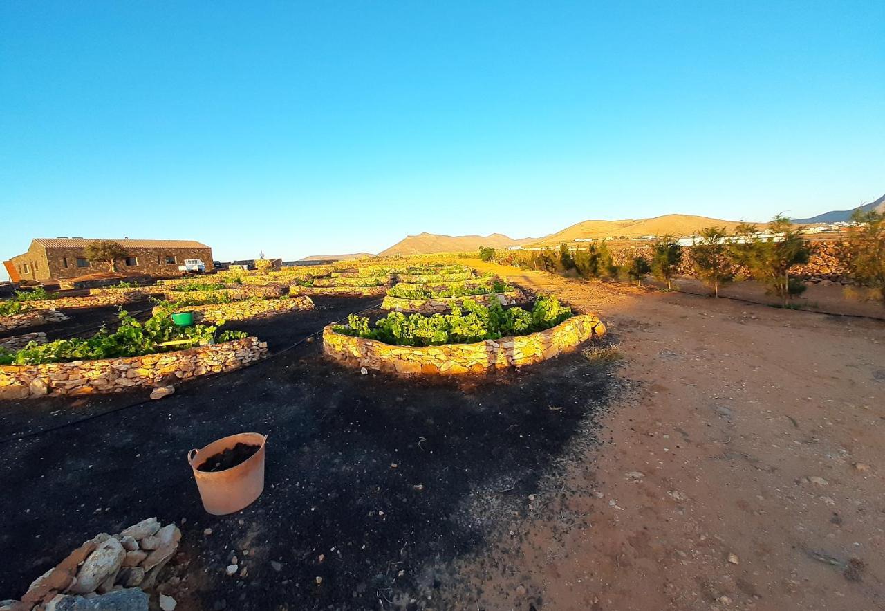 Agriturismo El Bounty Puerto del Rosario  Exteriér fotografie