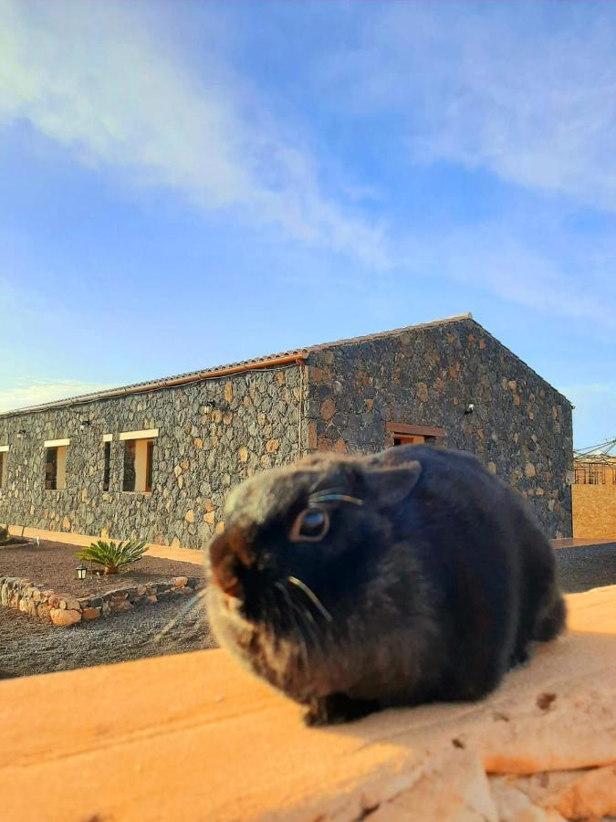 Agriturismo El Bounty Puerto del Rosario  Exteriér fotografie