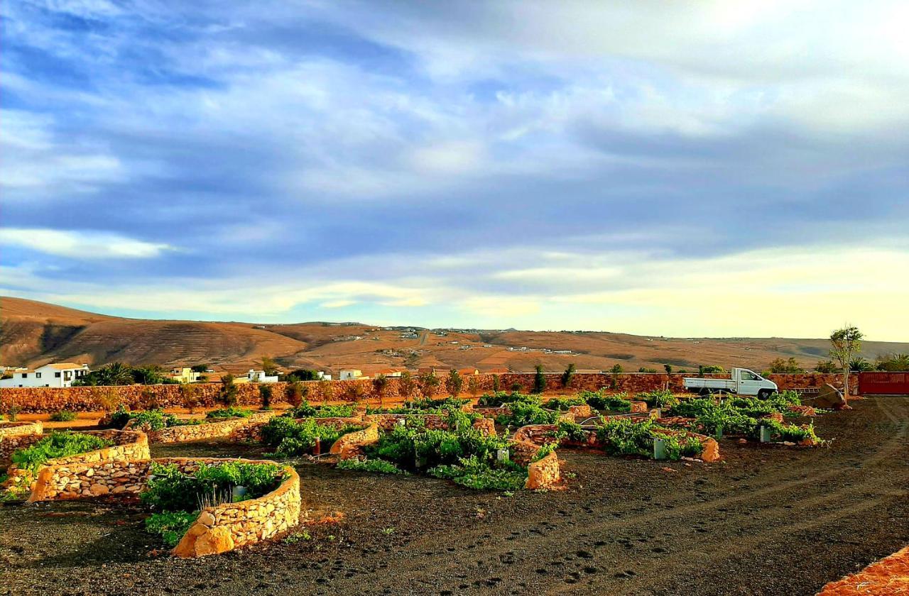 Agriturismo El Bounty Puerto del Rosario  Exteriér fotografie